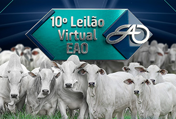 10º LEILÃO VIRTUAL EAO - TOUROS, MATRIZES E BEZERRAS